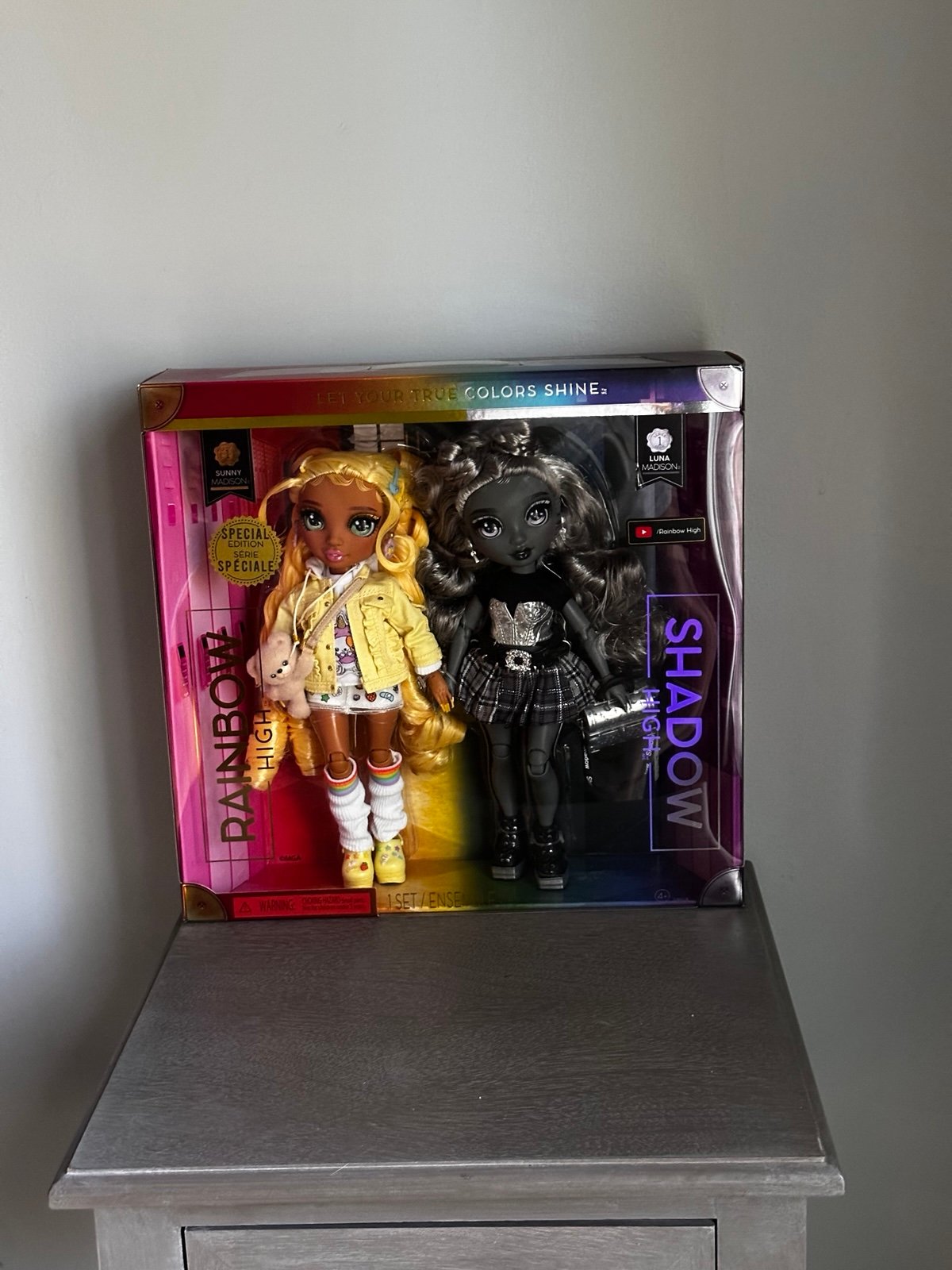 Rainbow high doll the twins