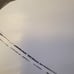 Trigun Vash The Stampede Yasuhiro Nightow 25th Anniversary Exhibition Poster