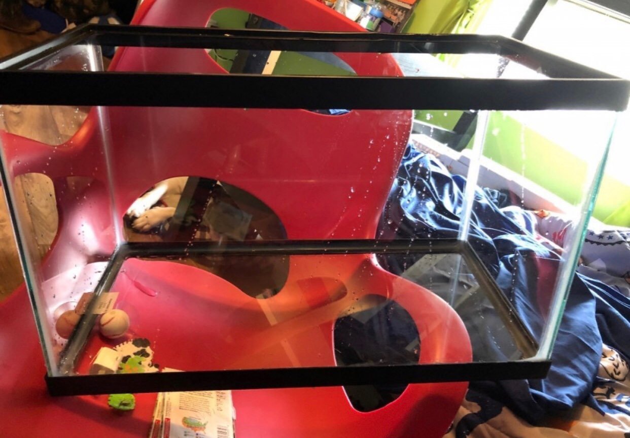 10 gallon terrarium