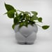 3DPPA Bubble Cloud Planter Decor for Dinner Table, Party, Living Room, Bedroom