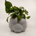 3DPPA Bubble Cloud Planter Decor for Dinner Table, Party, Living Room, Bedroom