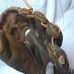 Rawlings Mickey Mantle Baseball Glove MM9 RHT Triple Crown Winner Pro Design