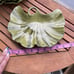 Tommy Bahama Green Leaf Plate Set