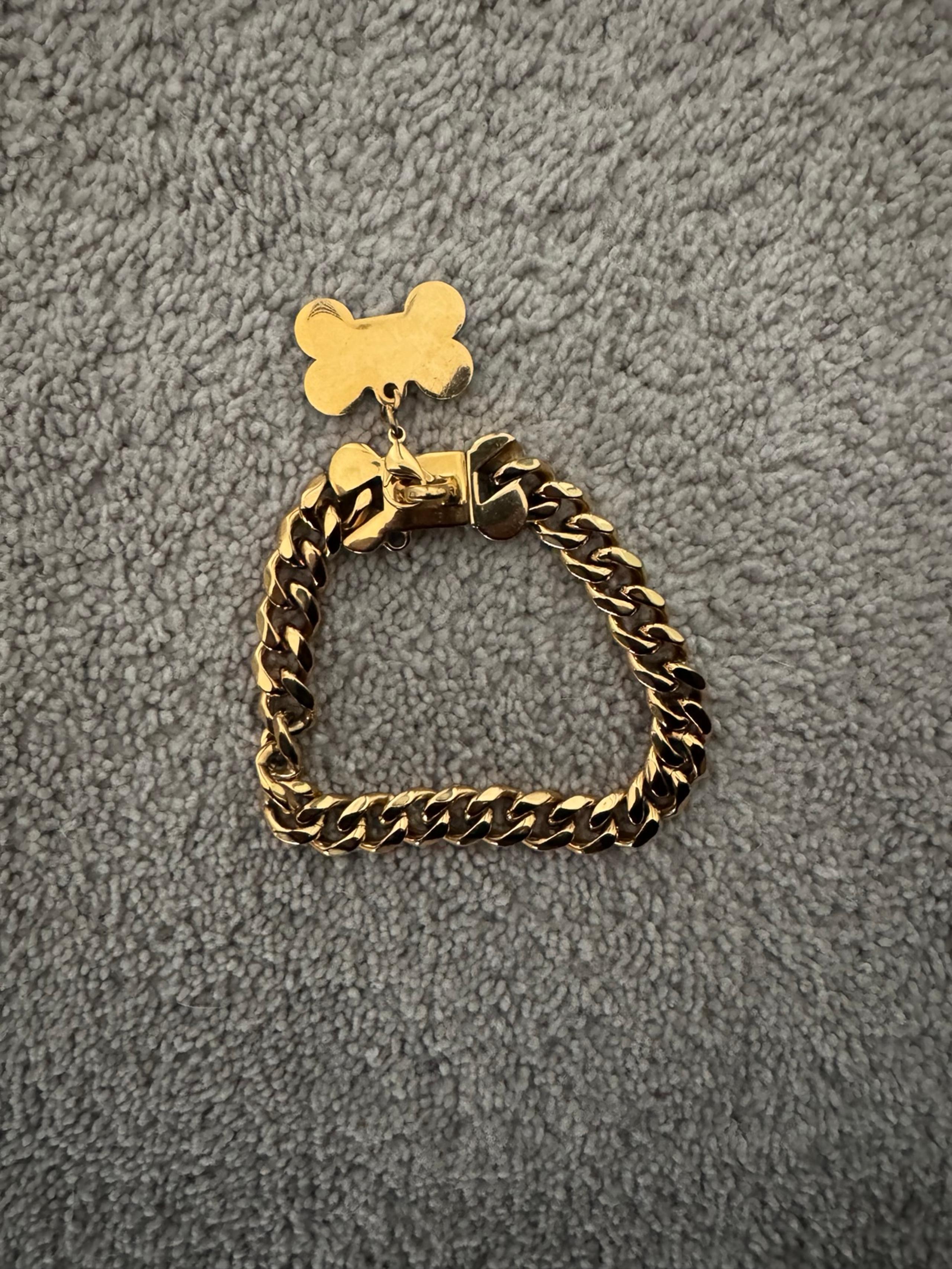 Golden Dog Chain
