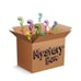 Mystery Box filled with Parrot Polish!