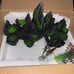 Large Fish Tank Decorations - Mountain View Aquarium Ornament with Tree House