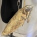 Maurizio Taiuti Leather Python Print Crossbody Bag with Adjustable Strap 14”x9”