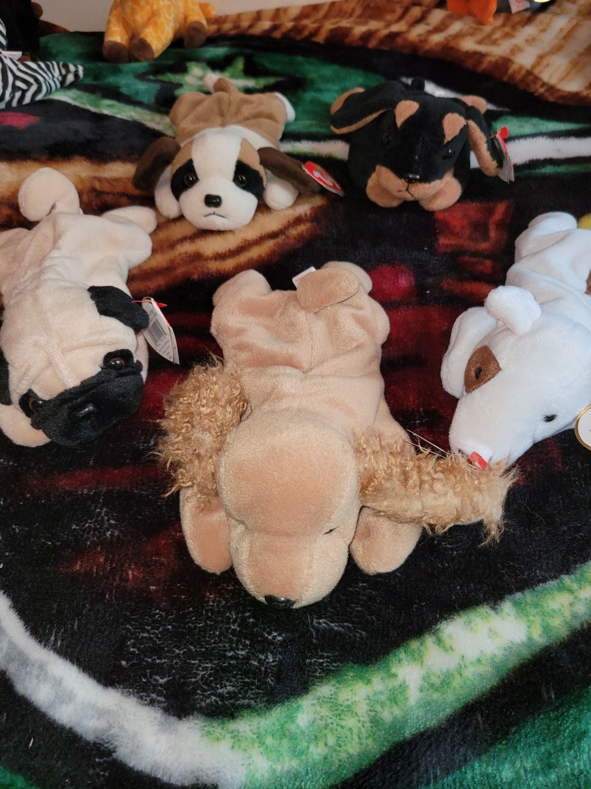 Beanie Baby Doggie Set Mint Condition