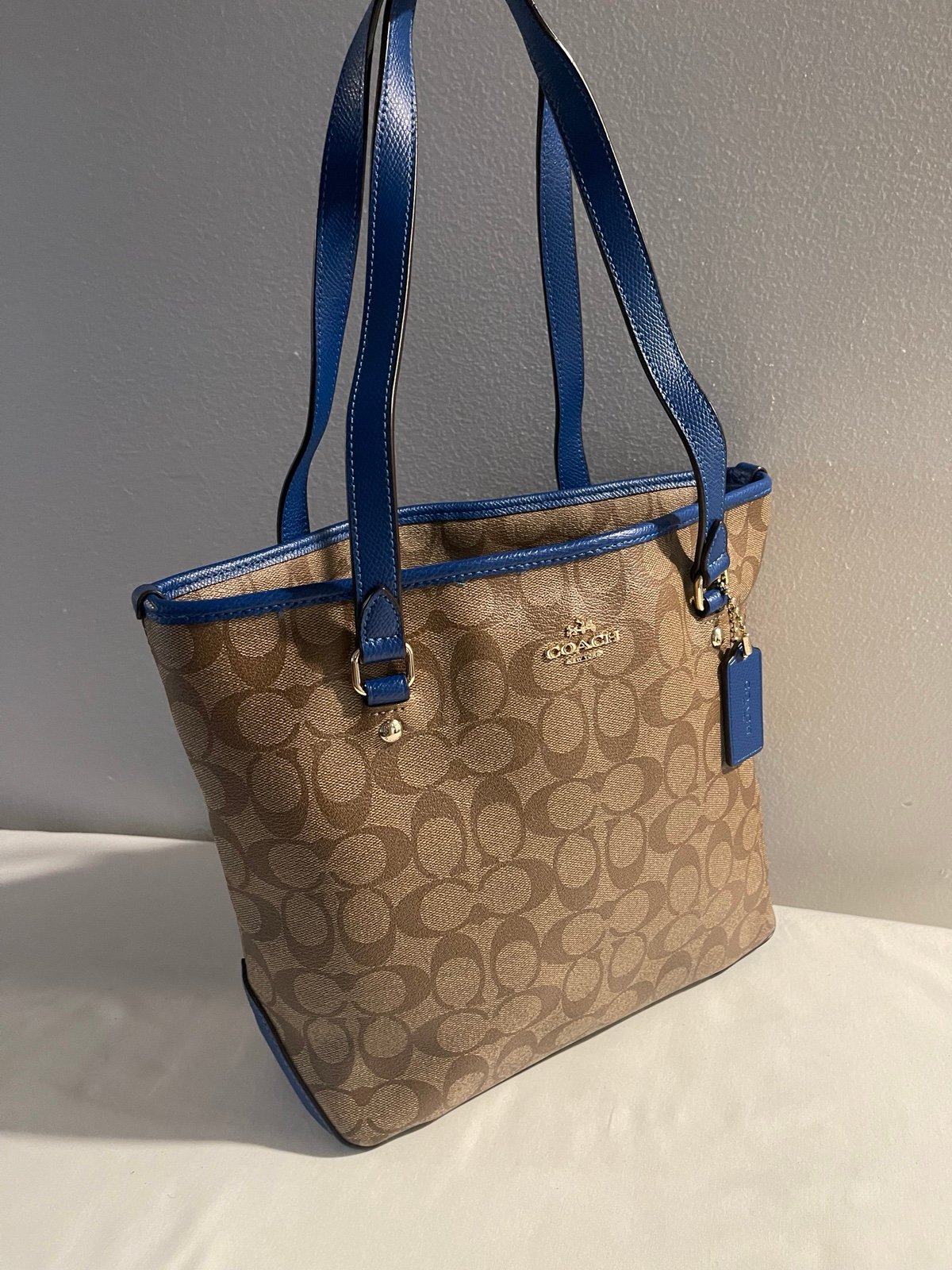Coach Signature Brown Leather Tote Bag