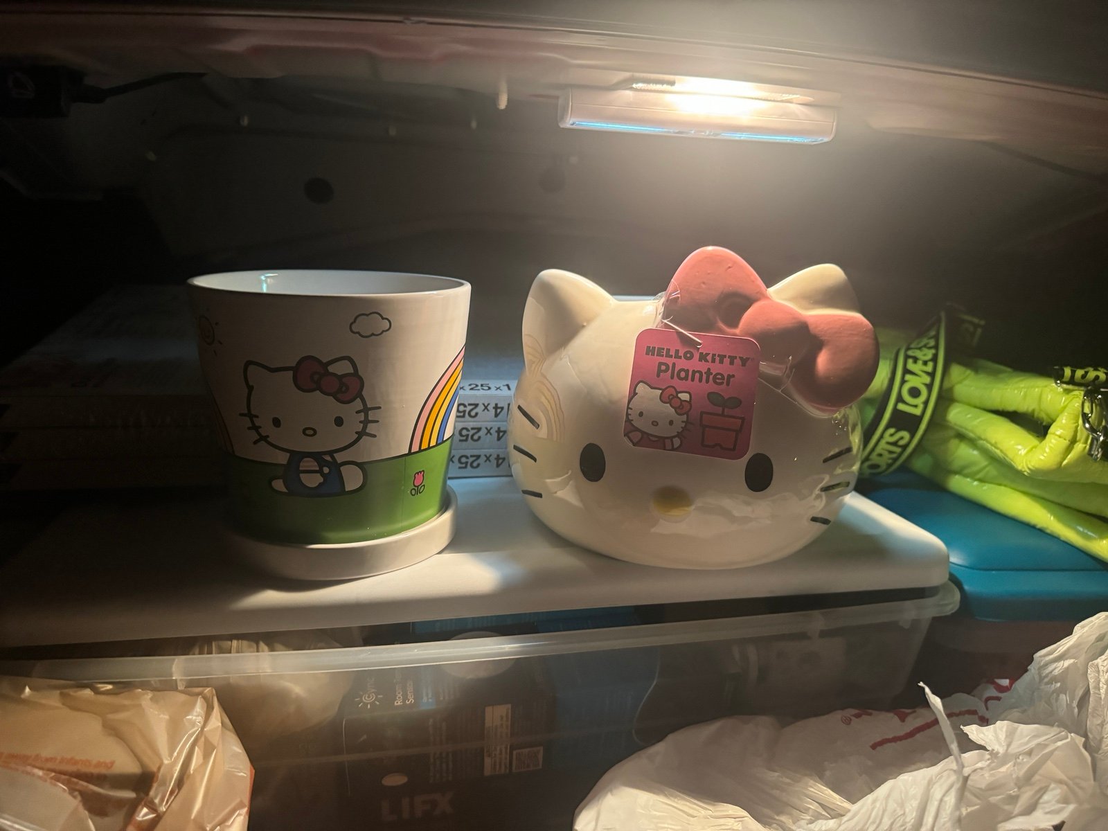 Hello Kitty Planters (2)
