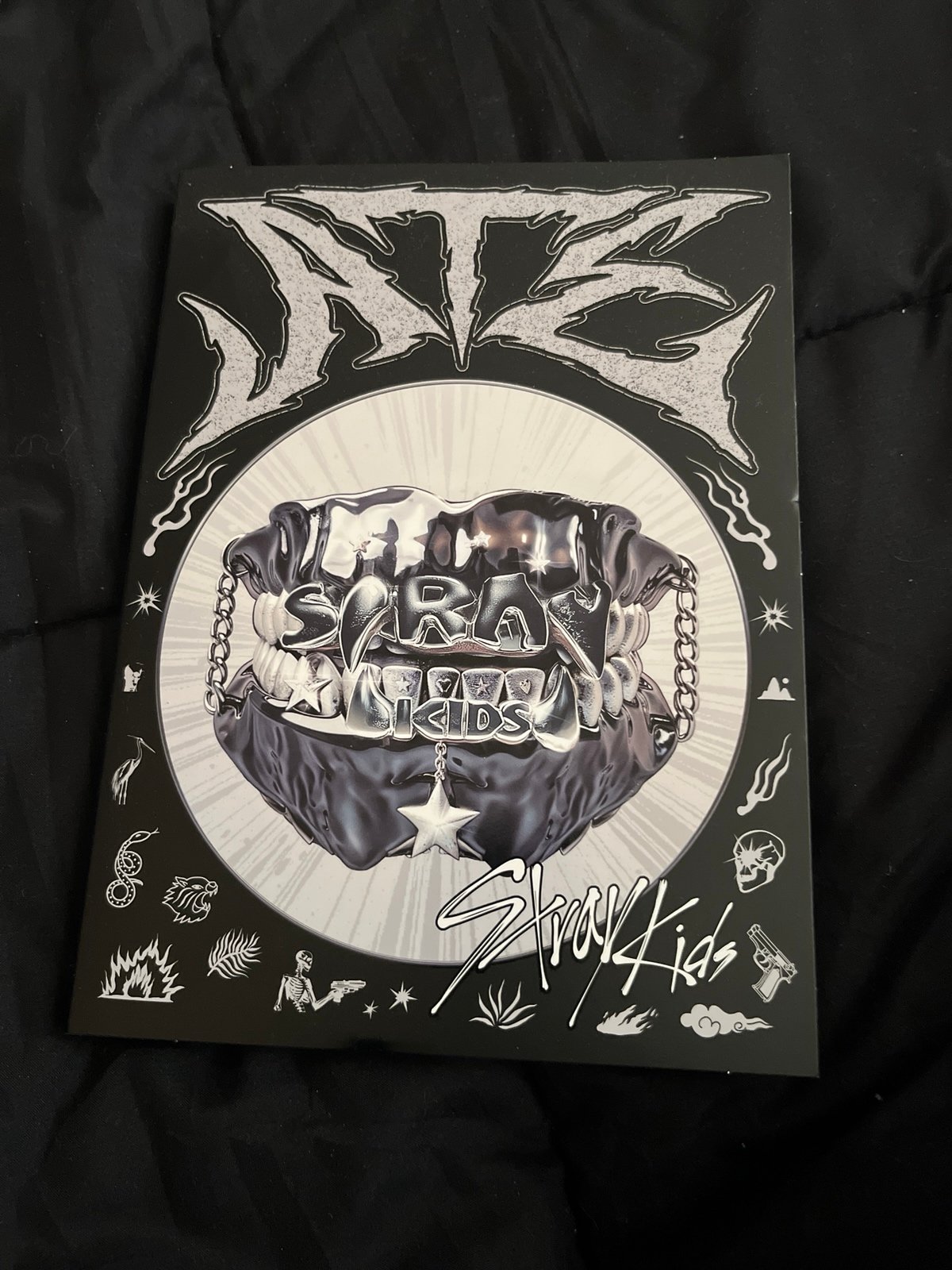 その他 HiHi Jets Arena Tour 2024 BINGO 2024 DVD HiHi Jets Arena Tour 2024 BINGO｜ジュニア｜Storm Labels
