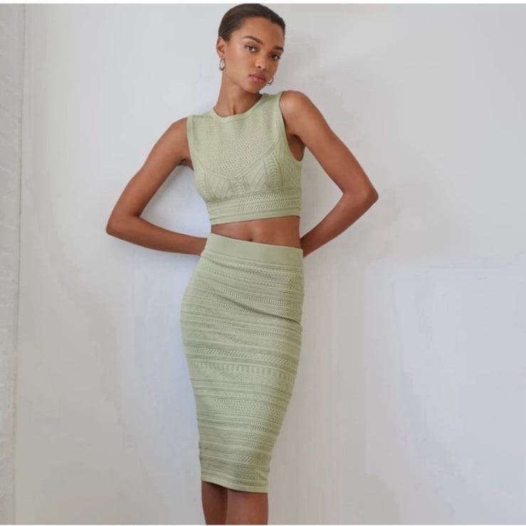 Aritzia Babaton Skirt & Top Set