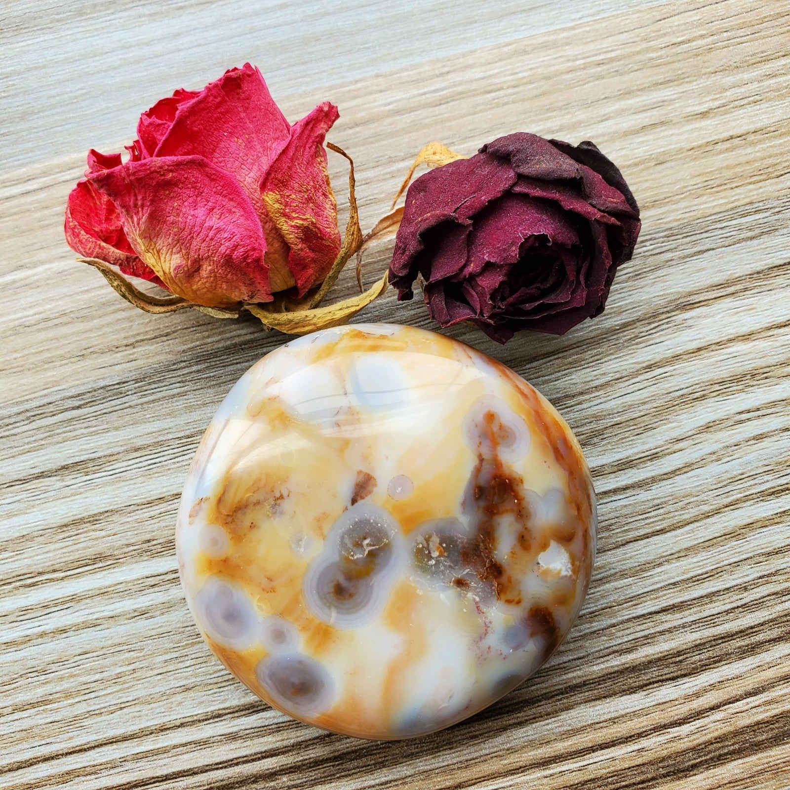 8th vein ocean jasper, ocean jasper palmstone with chocolate milk latte color