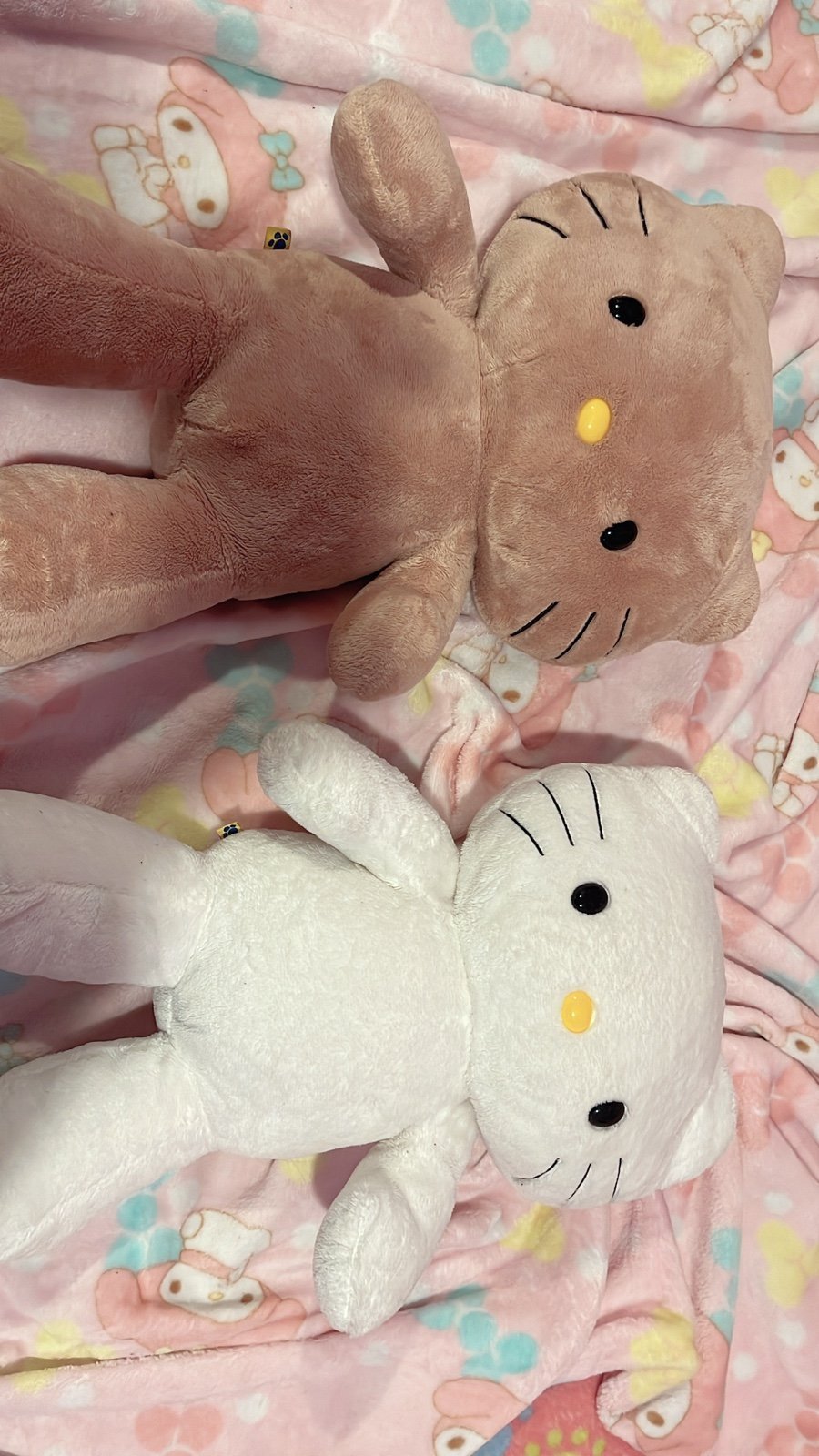 Hello kitty buildabears!