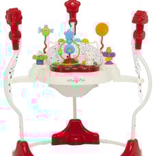Zany 2 in 1 Baby Activity Center and bouncer