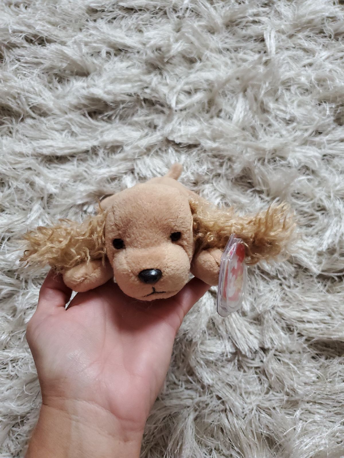 Ty Beanie Babies RARE Spunky 1997