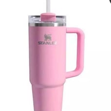 sizzling PINK stanley