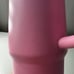 sizzling PINK stanley