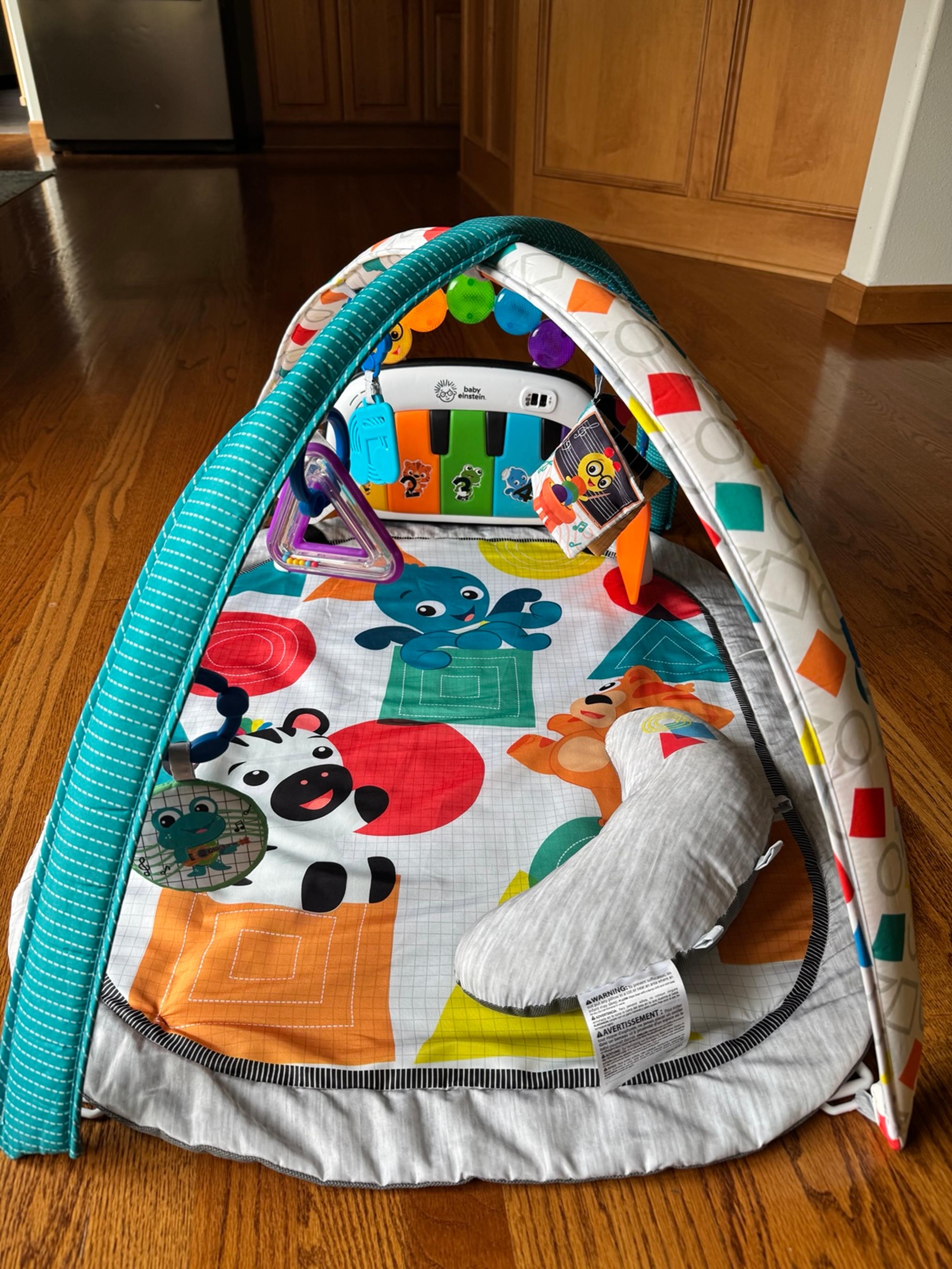 Baby Einstein 4-in-1 Play Gym