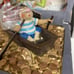 Jim Shore Peter Pan Treasure Chest Capta