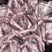 Handmade rose money bouquet