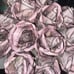Handmade rose money bouquet