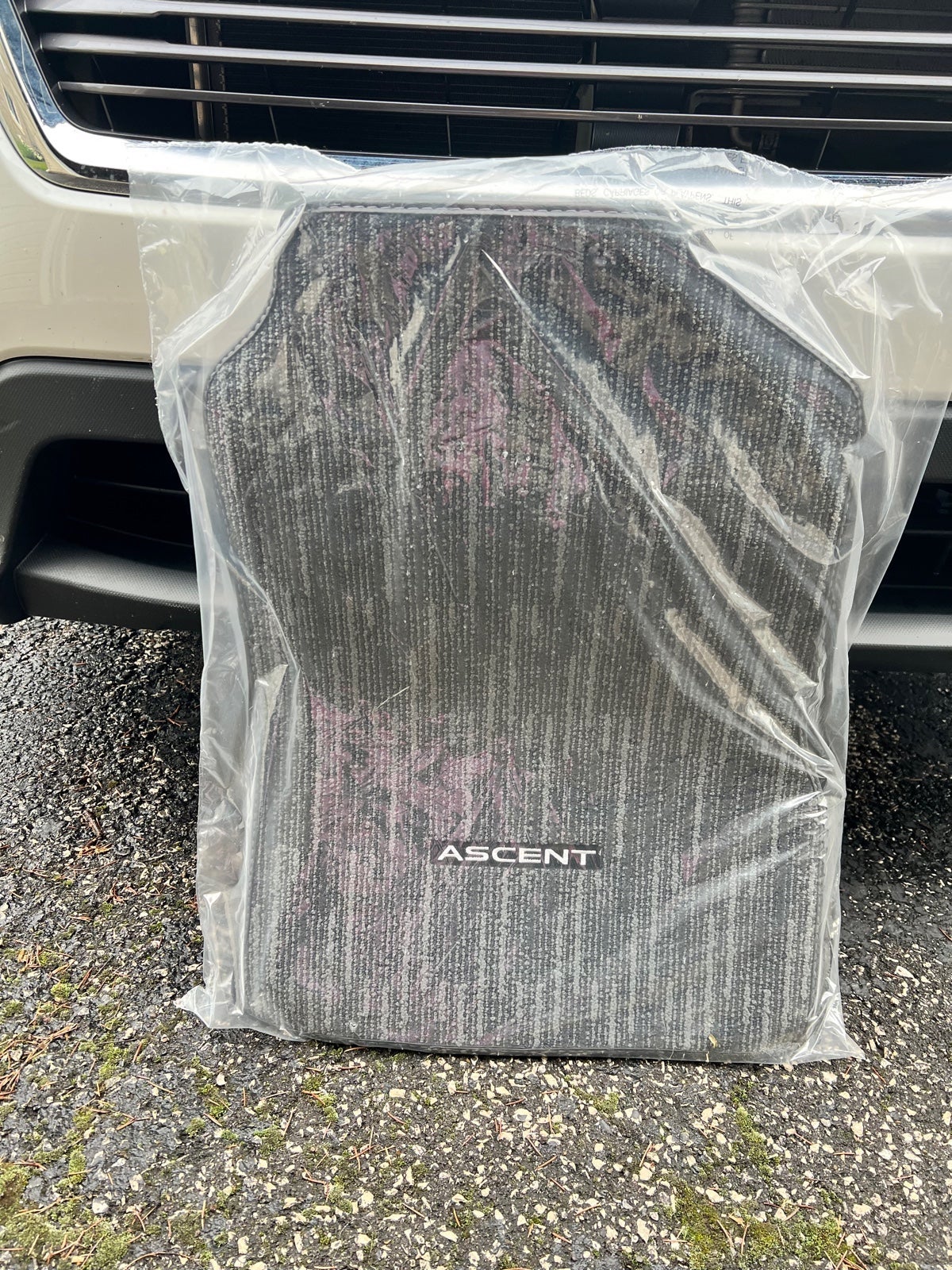 Subaru Ascent Carpeted floor mats