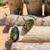 Beautiful one of a kind green Amber earr
