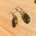 Beautiful one of a kind green Amber earr