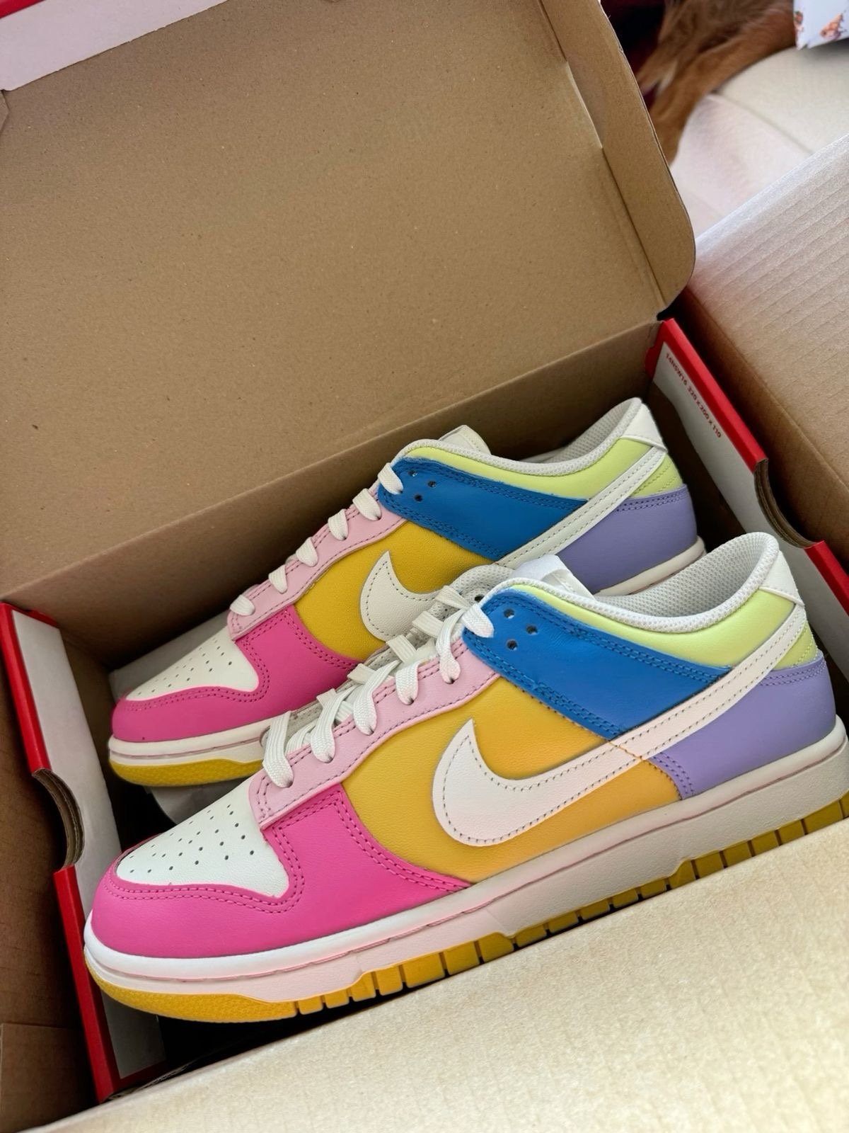 Nike Multi Color Dunks