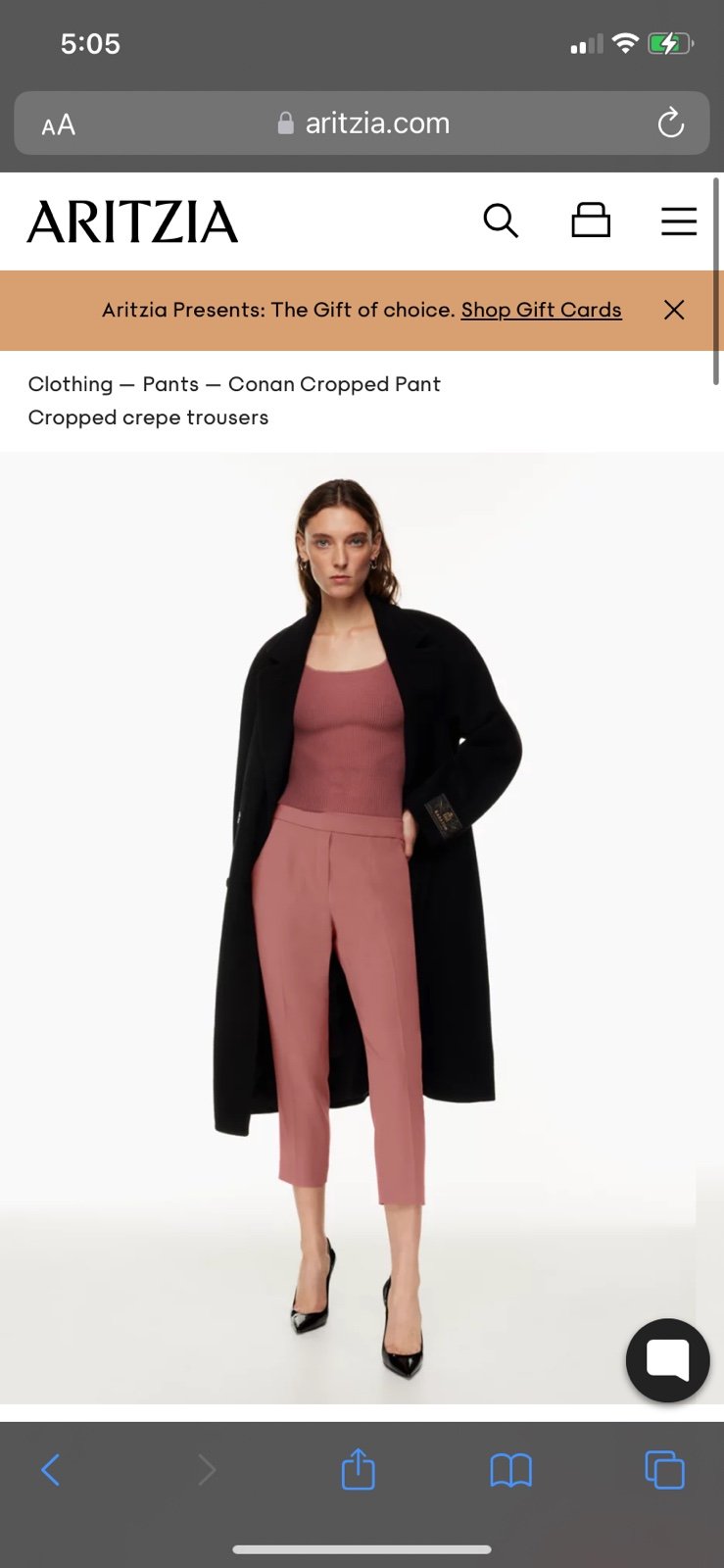 Aritzia Conan Pant
