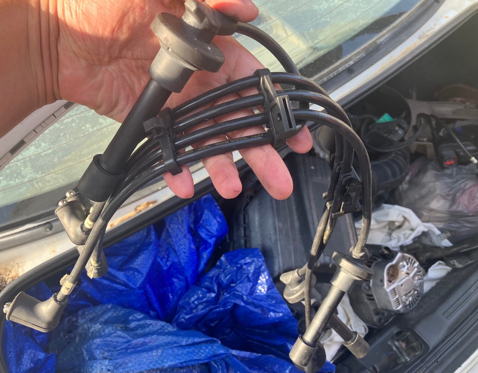 Honda Accord 5th Gen 94-97 Ignition Coils with all Plugs