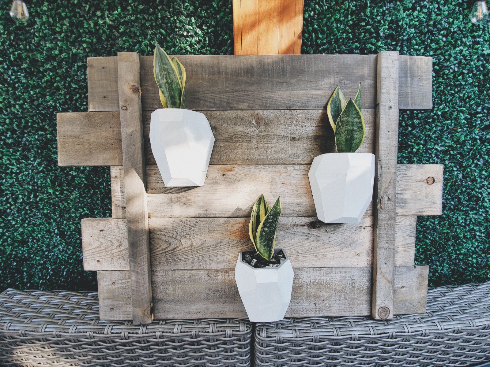Rustic Weathered Living Wall w/ Snake Pl