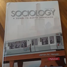 Sociology A Down To Earth Approach 12th