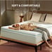 Foam mattress