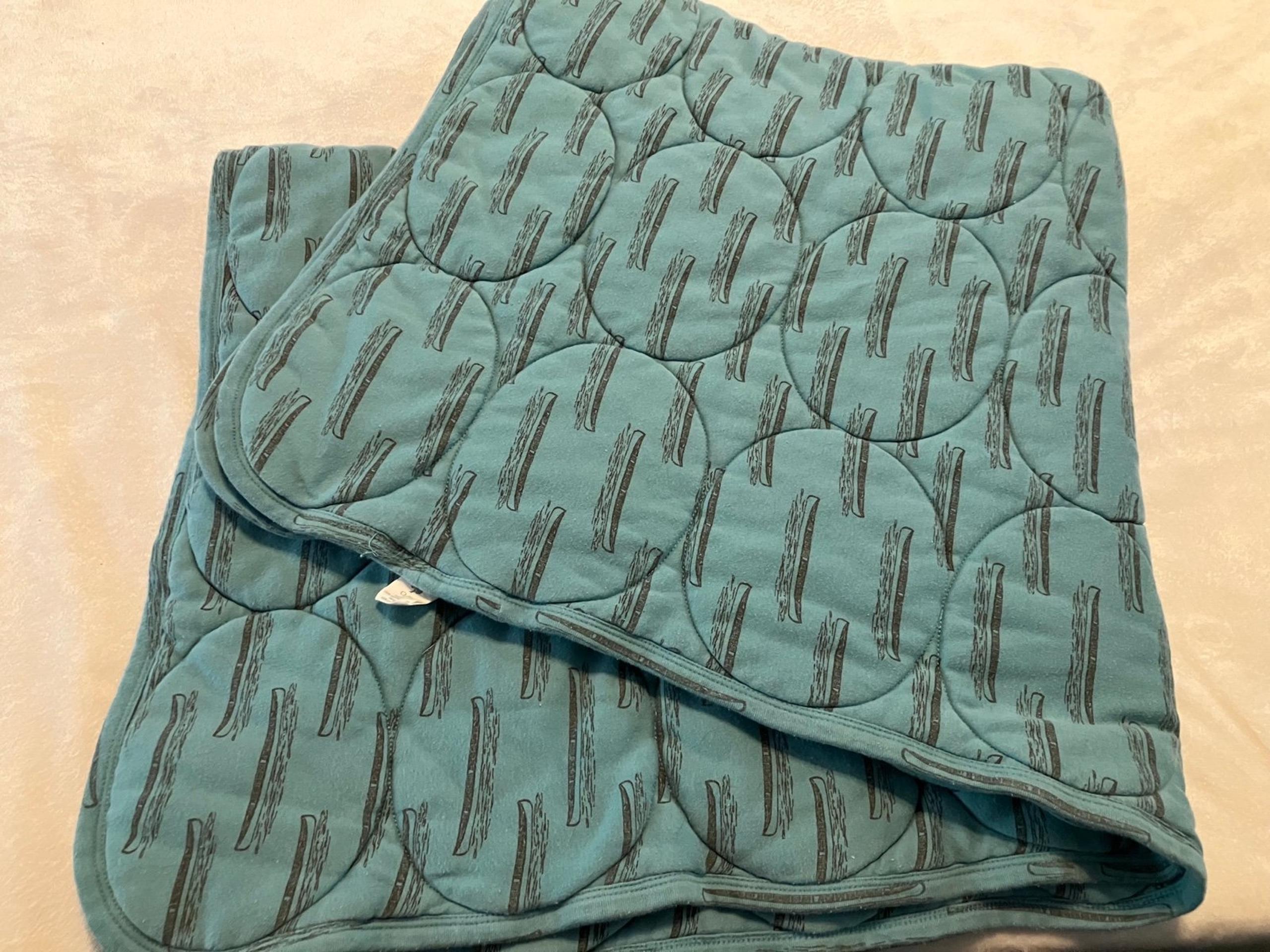 Kate Quinn blue Canoe quilt