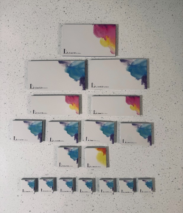 Lot of 19 LimeLife Palettes - Empty
