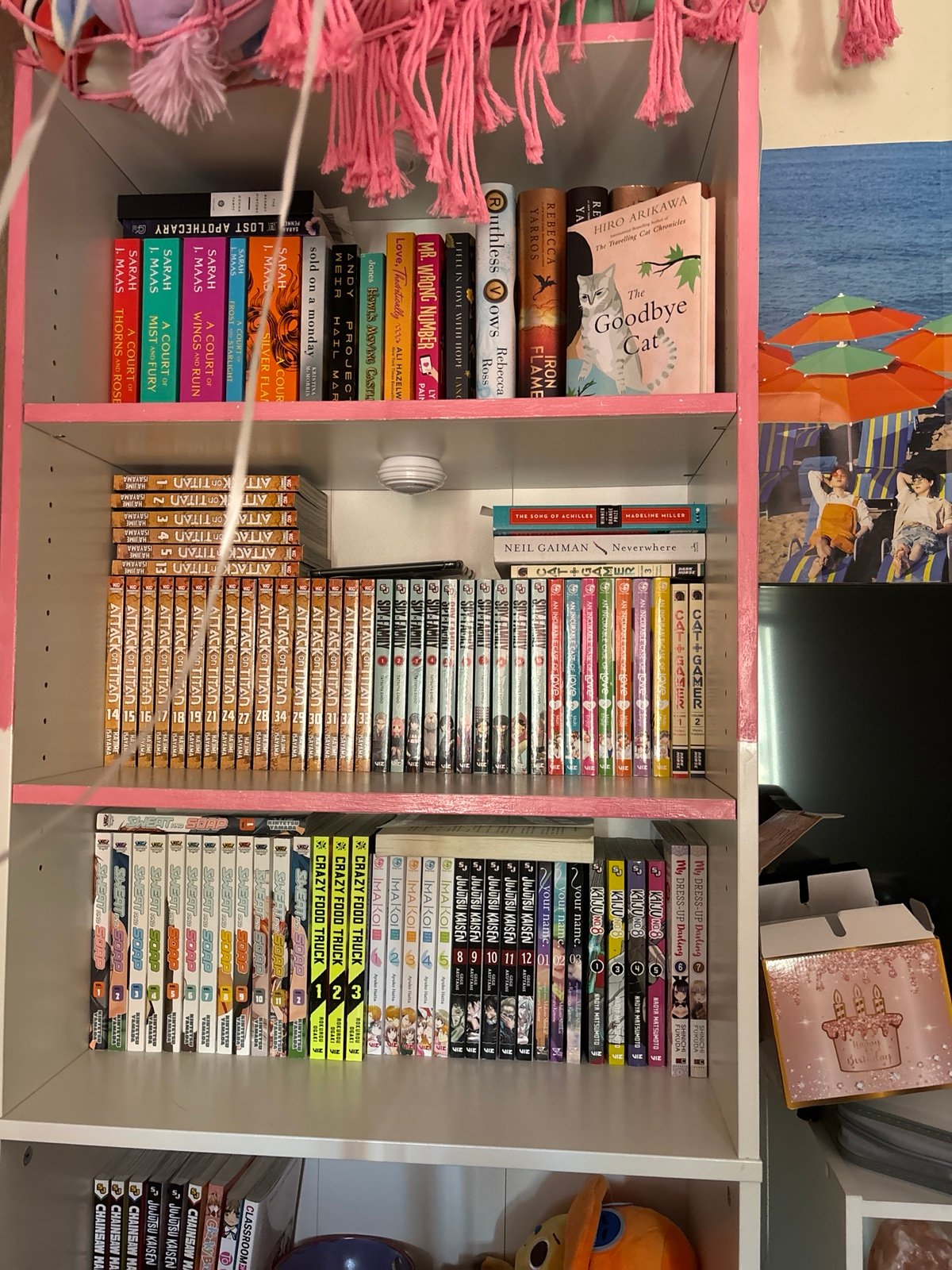 Manga Lot
