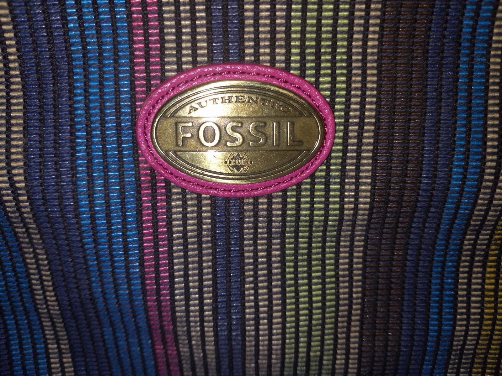 Fossil Large Crossbody NWOT