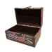 Neat Zebra Print with Colorful Peace Signs Belomgimgs Box!