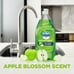 Ultra Antibacterial Liquid Dish Soap, Apple Blossom Scent, 70 fl oz