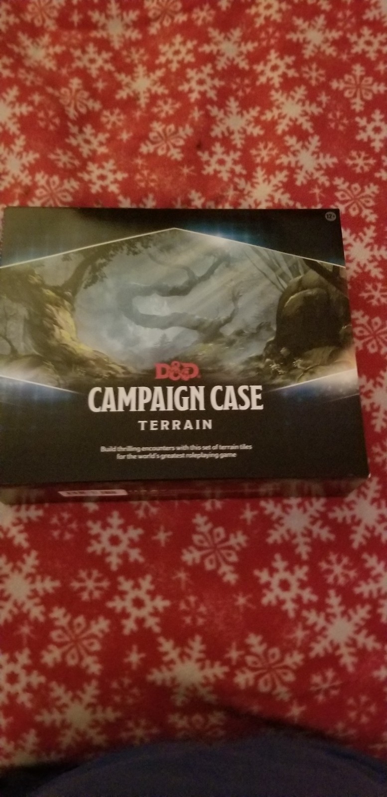 Dungeons & Dragons Campaign Case Terrain