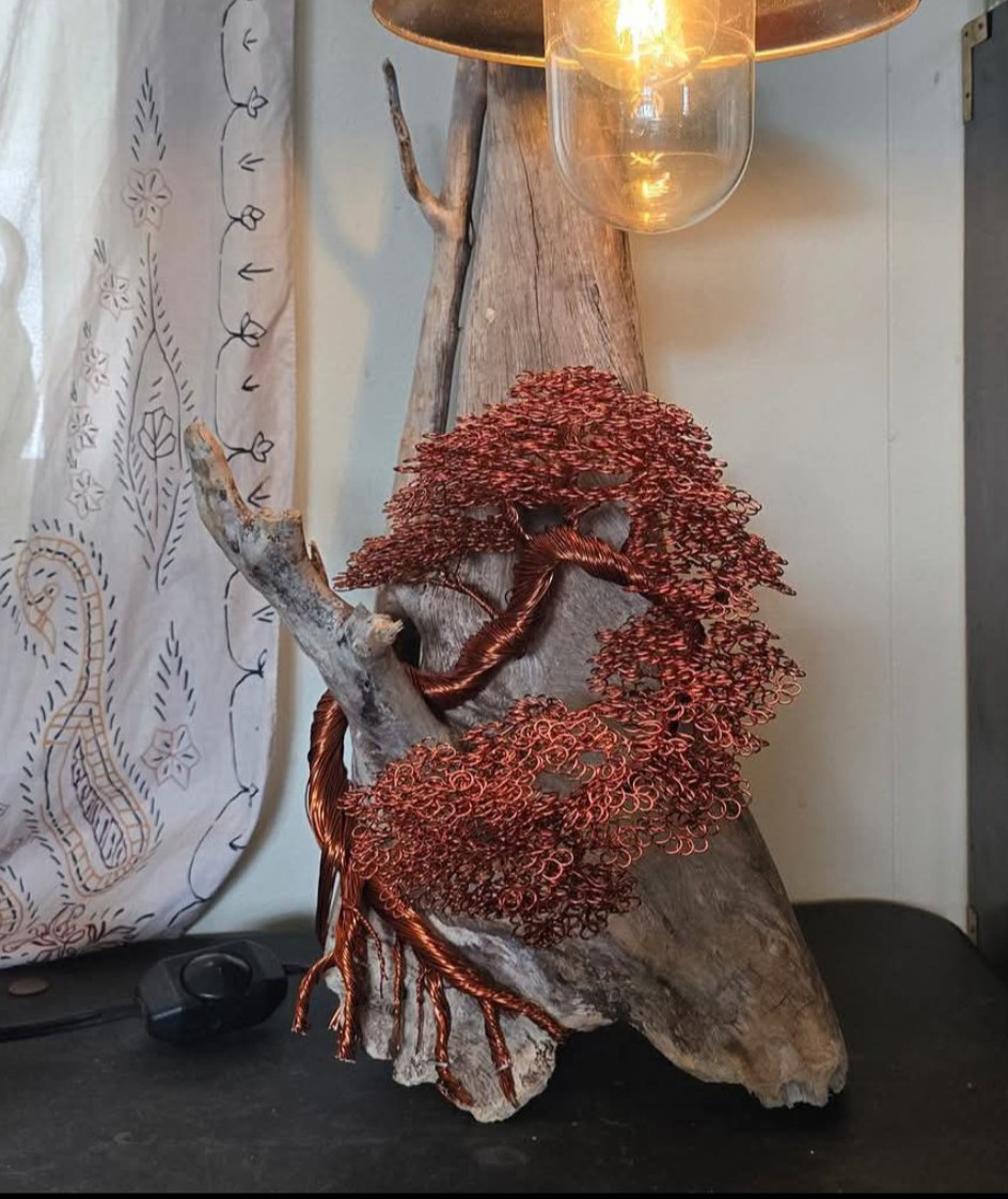 Drift wood lamp