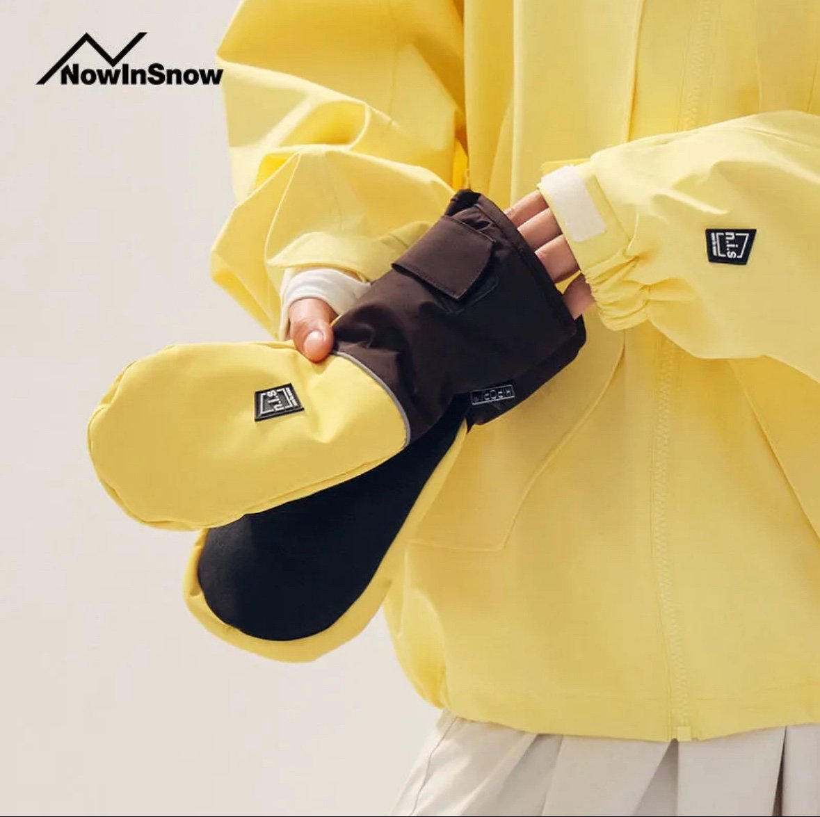 Ski Gloves