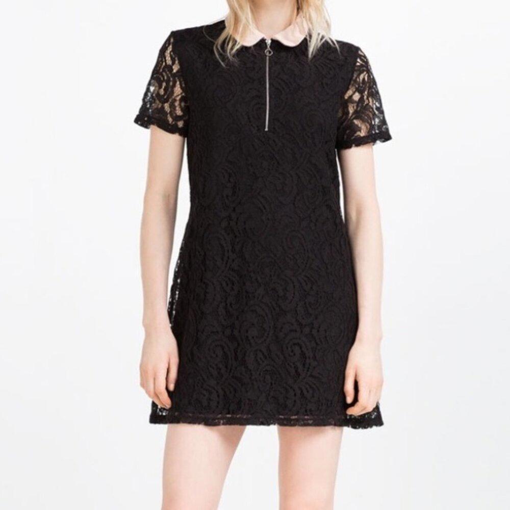 Zara Zip Black Guipure Lace Collar Dress