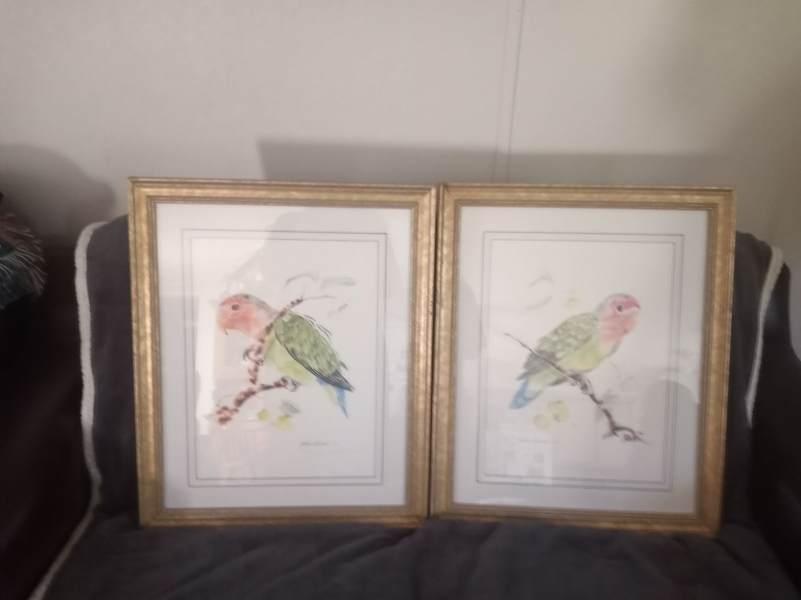 Limited edition framed prints