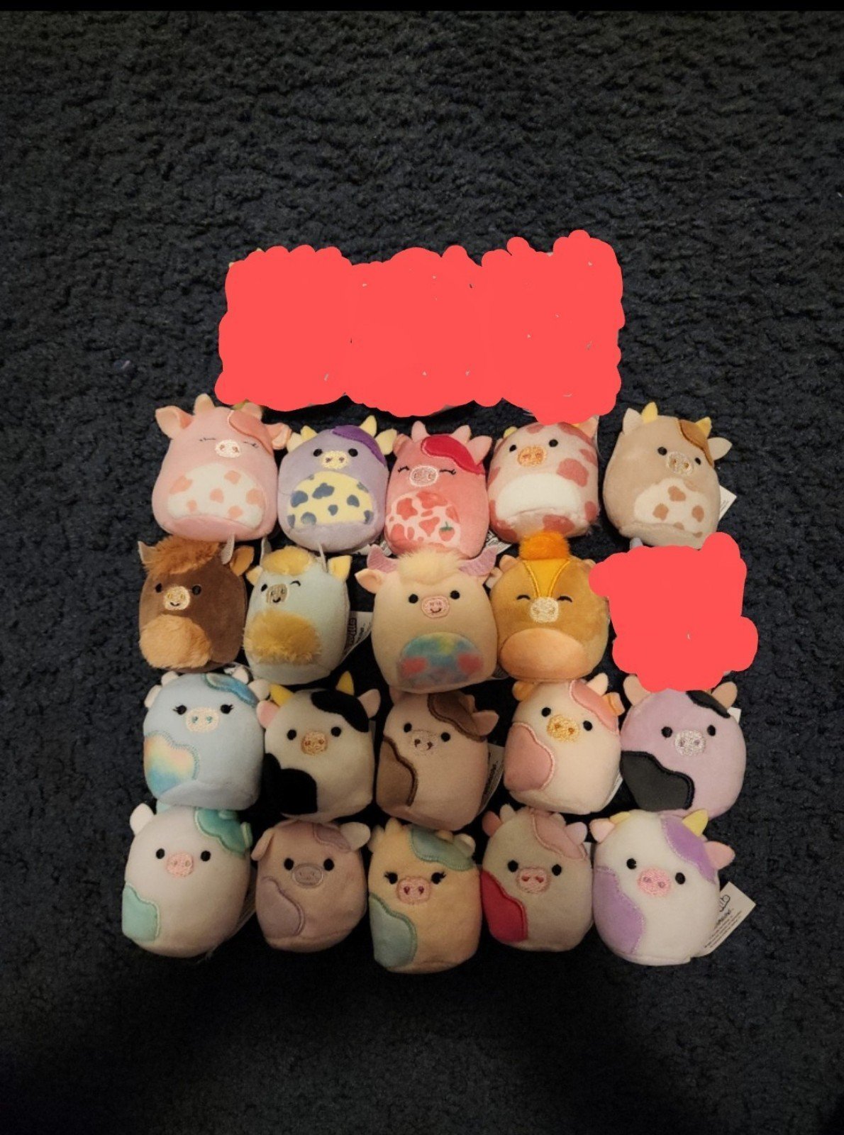 Cow squishville bundle