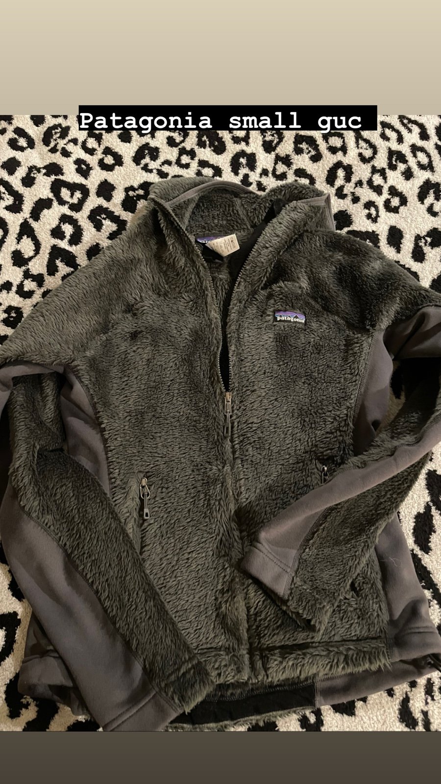 Patagonia jacket