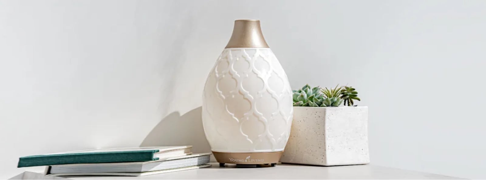 Young Living Desert Mist Diffuser