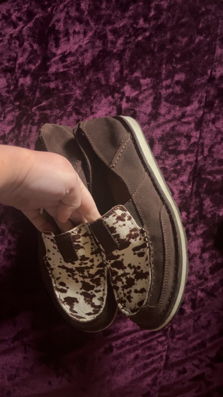 ariat